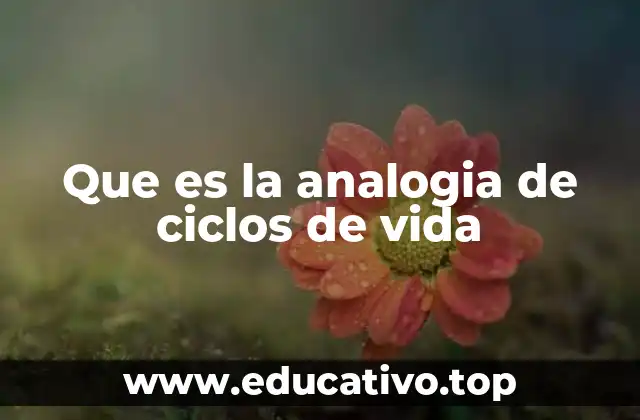 Que es la analogia de ciclos de vida