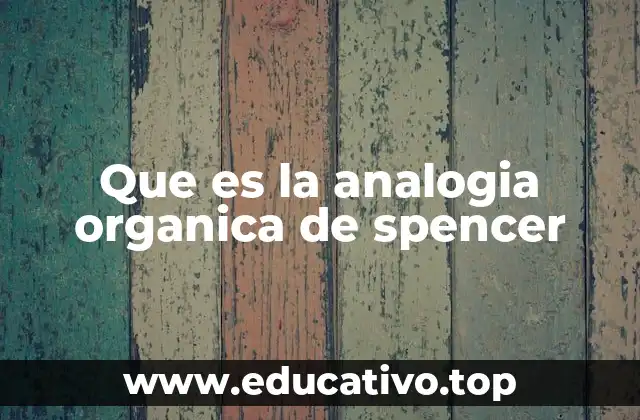 Que es la analogia organica de spencer