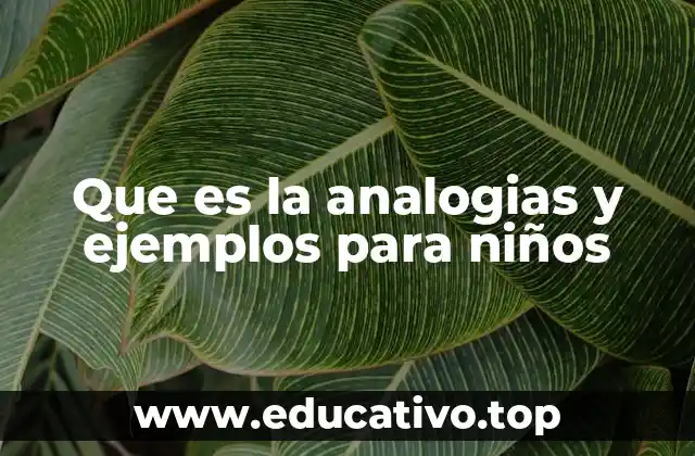 Que es la analogias y ejemplos para niños