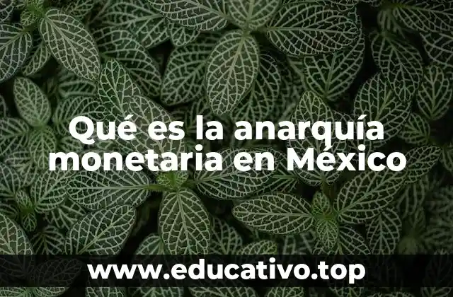 Qué es la anarquía monetaria en México