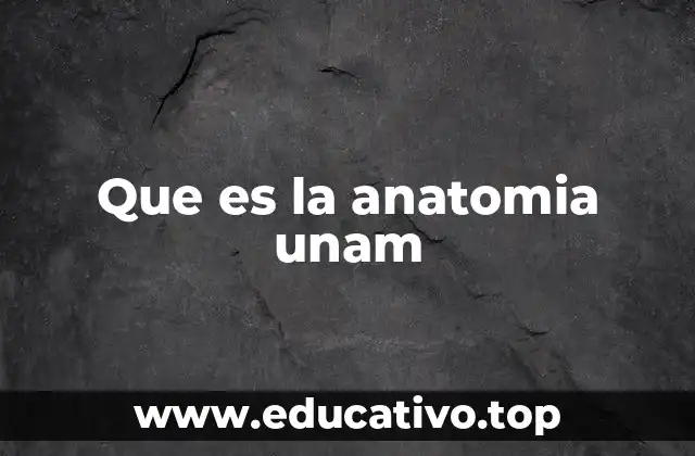 Que es la anatomia unam