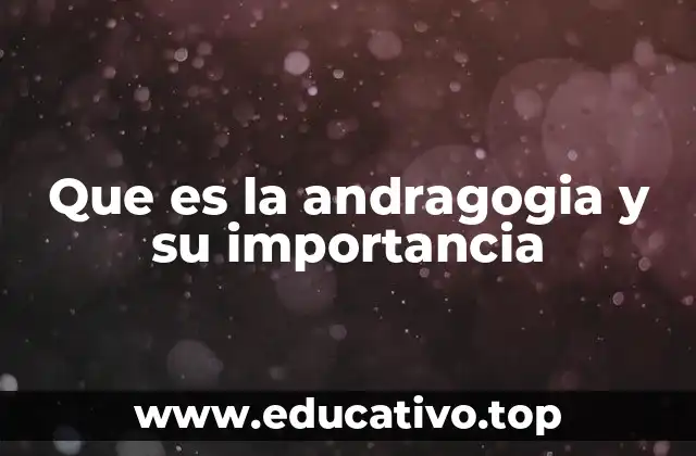 Que es la andragogia y su importancia