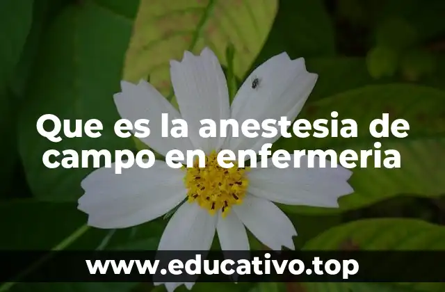 Que es la anestesia de campo en enfermeria