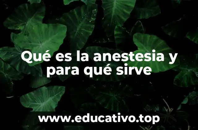La importancia de la anestesia en la medicina moderna