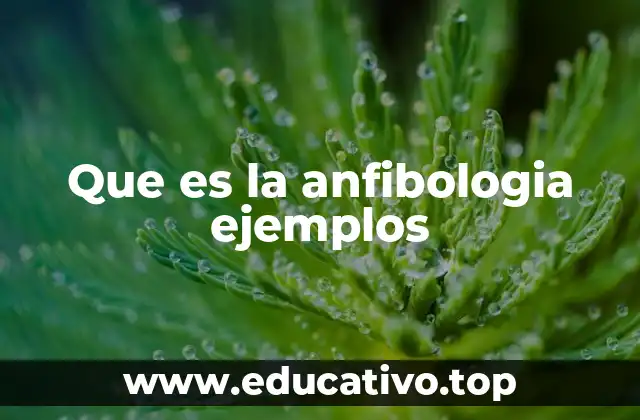 Que es la anfibologia ejemplos