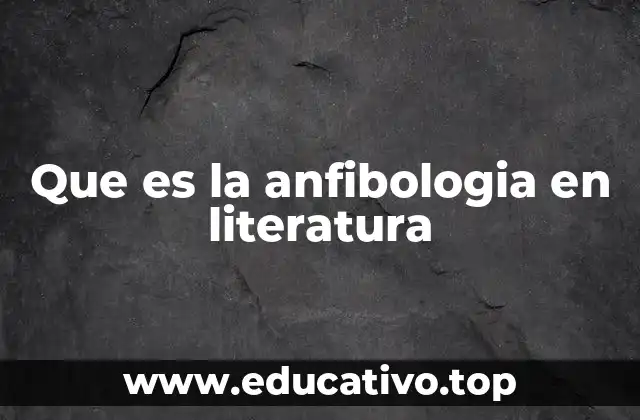 Que es la anfibologia en literatura
