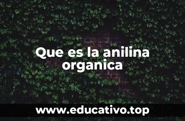 Que es la anilina organica