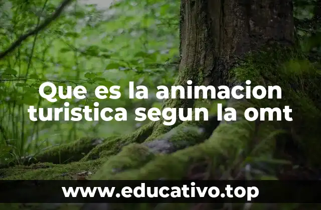 Que es la animacion turistica segun la omt