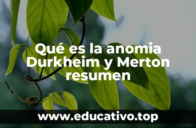 Qué es la anomia Durkheim y Merton resumen