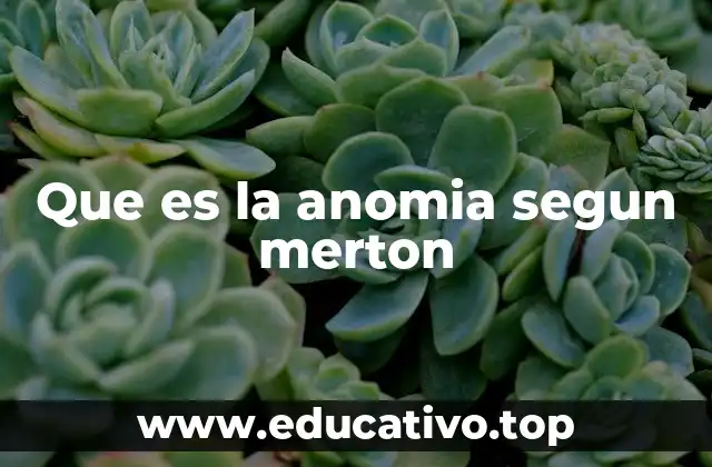 Que es la anomia segun merton