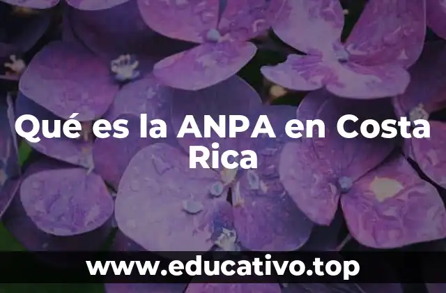 Qué es la ANPA en Costa Rica