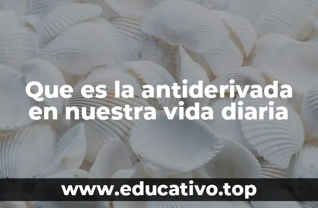 Que es la antiderivada en nuestra vida diaria
