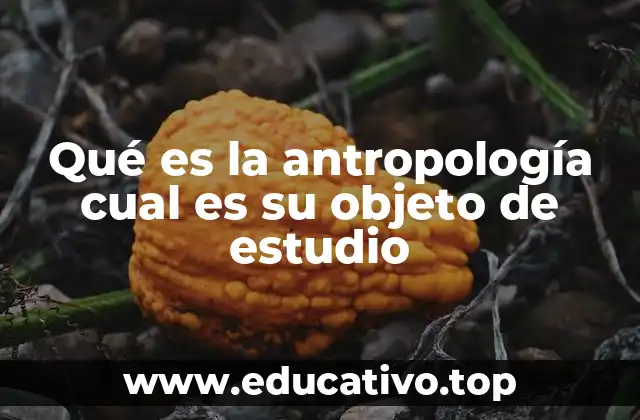Qué es la antropología cual es su objeto de estudio