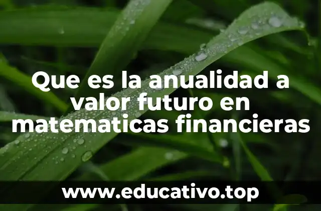 Que es la anualidad a valor futuro en matematicas financieras