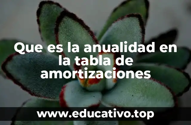 Que es la anualidad en la tabla de amortizaciones