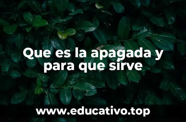 Que es la apagada y para que sirve