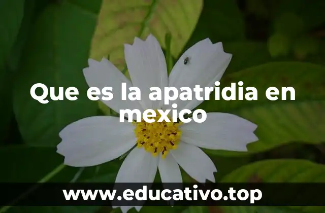 Que es la apatridia en mexico