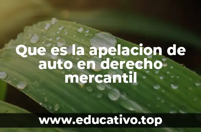 Que es la apelacion de auto en derecho mercantil