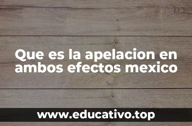 Que es la apelacion en ambos efectos mexico