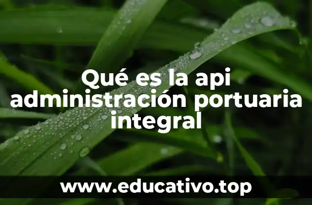 Qué es la api administración portuaria integral