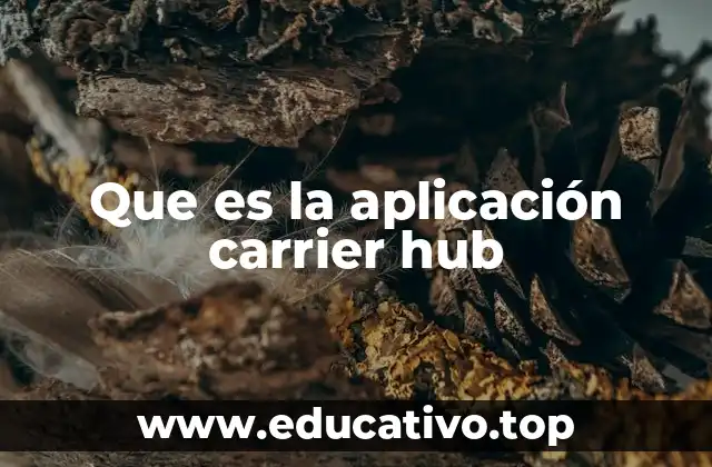 Que es la aplicación carrier hub