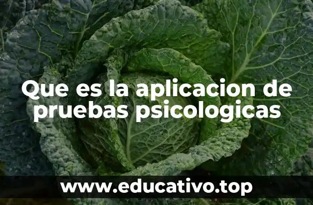 Que es la aplicacion de pruebas psicologicas