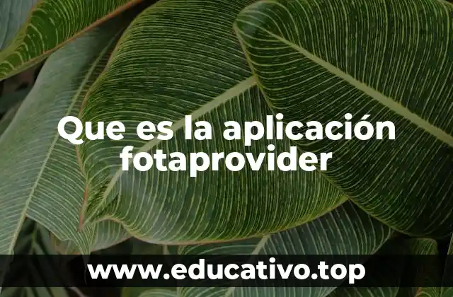 Que es la aplicación fotaprovider
