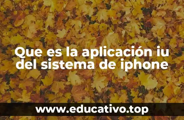 Que es la aplicación iu del sistema de iphone
