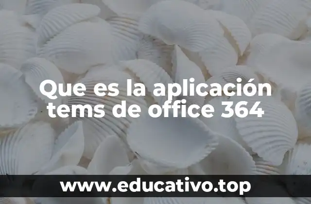 Que es la aplicación tems de office 364