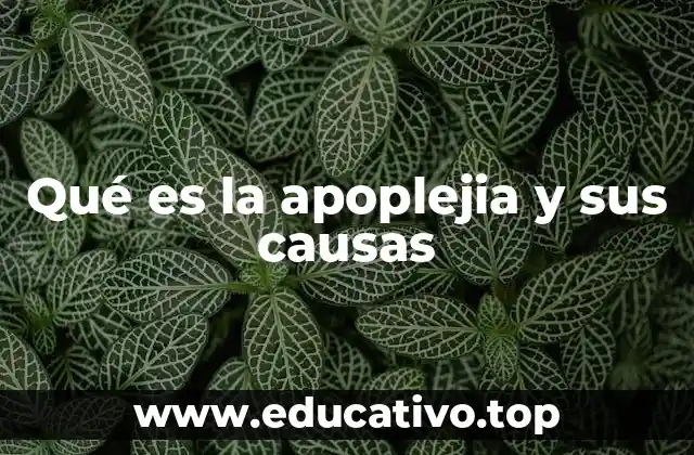 Qué es la apoplejia y sus causas