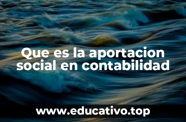 Que es la aportacion social en contabilidad