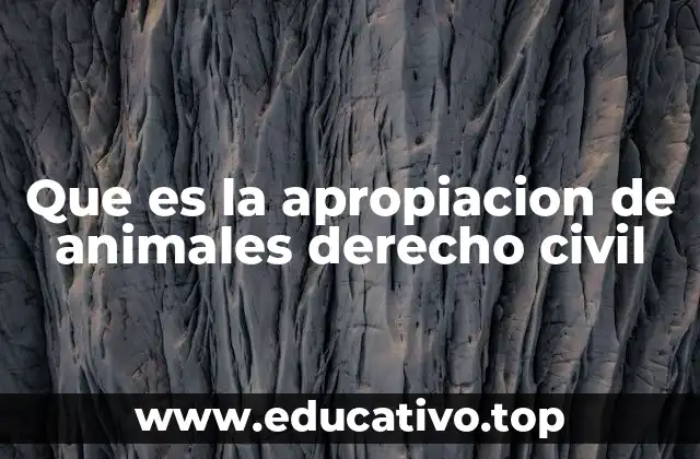 Que es la apropiacion de animales derecho civil