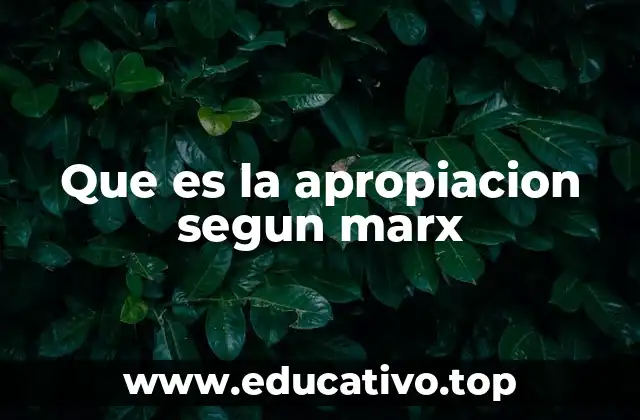 Que es la apropiacion segun marx