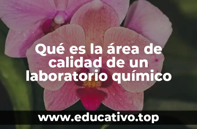 La importancia de la gestión de la calidad en laboratorios químicos
