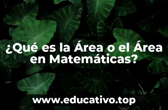 ¿Qué es la Área o el Área en Matemáticas?