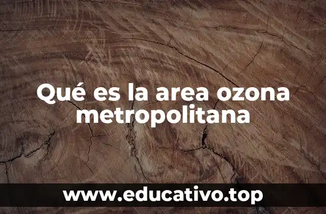 Qué es la area ozona metropolitana