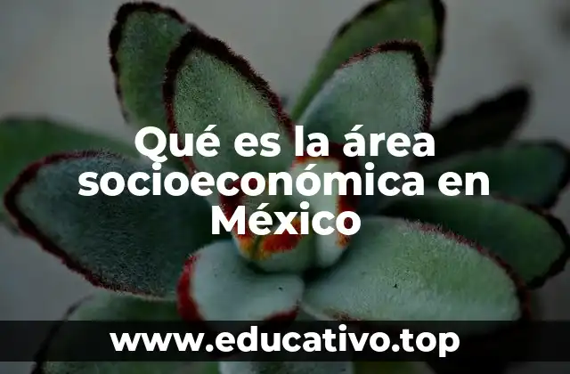 Qué es la área socioeconómica en México