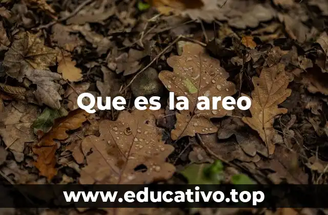 Que es la areo