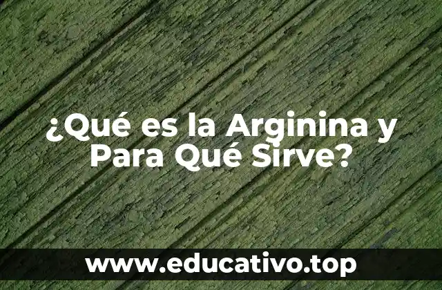 ¿Qué es la Arginina y Para Qué Sirve?