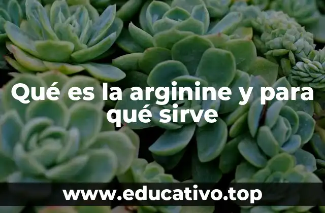 Qué es la arginine y para qué sirve