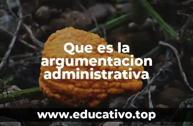 Que es la argumentacion administrativa