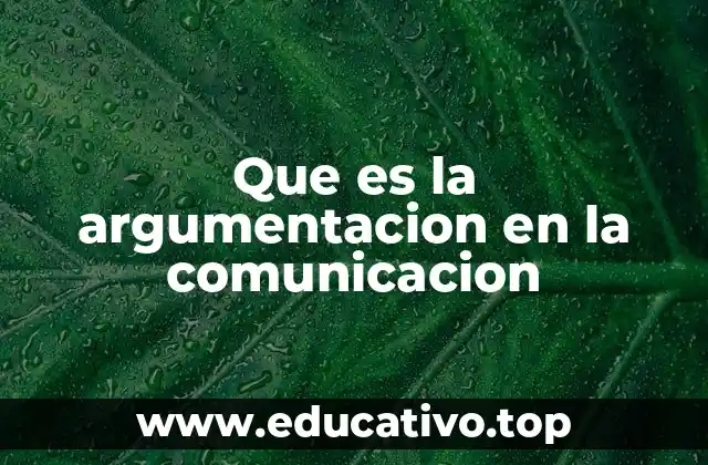 Que es la argumentacion en la comunicacion