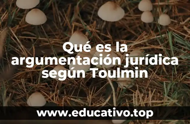 Qué es la argumentación jurídica según Toulmin