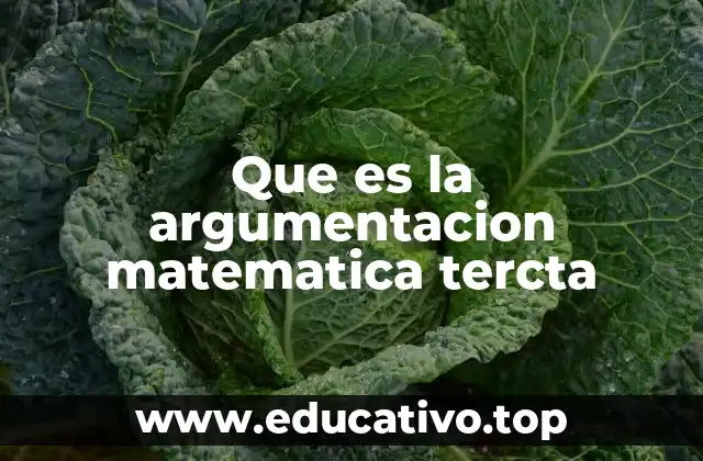 ¿Qué elementos componen una argumentación matemática?