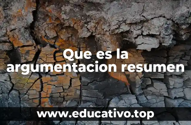 Que es la argumentacion resumen