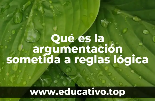 Qué es la argumentación sometida a reglas lógica