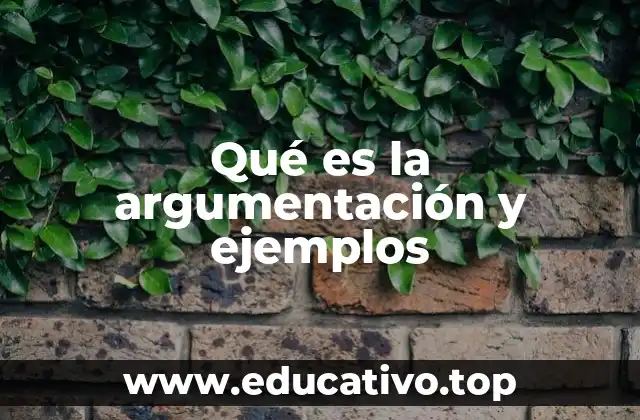 Qué es la argumentación y ejemplos