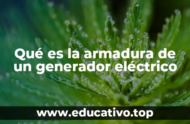 Qué es la armadura de un generador eléctrico