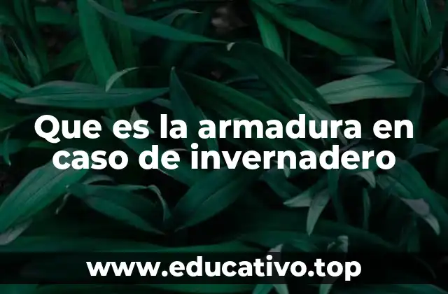 Que es la armadura en caso de invernadero
