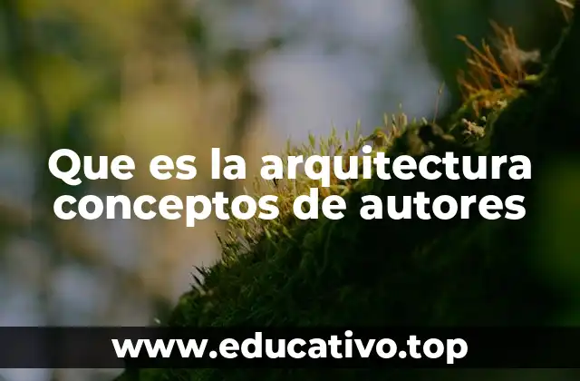Que es la arquitectura conceptos de autores